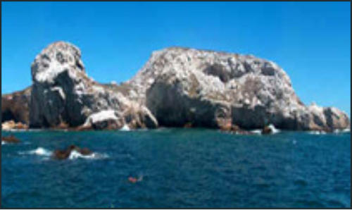 Snorkel Tour Marietas Islands Snorkel Tour Marietas Islands